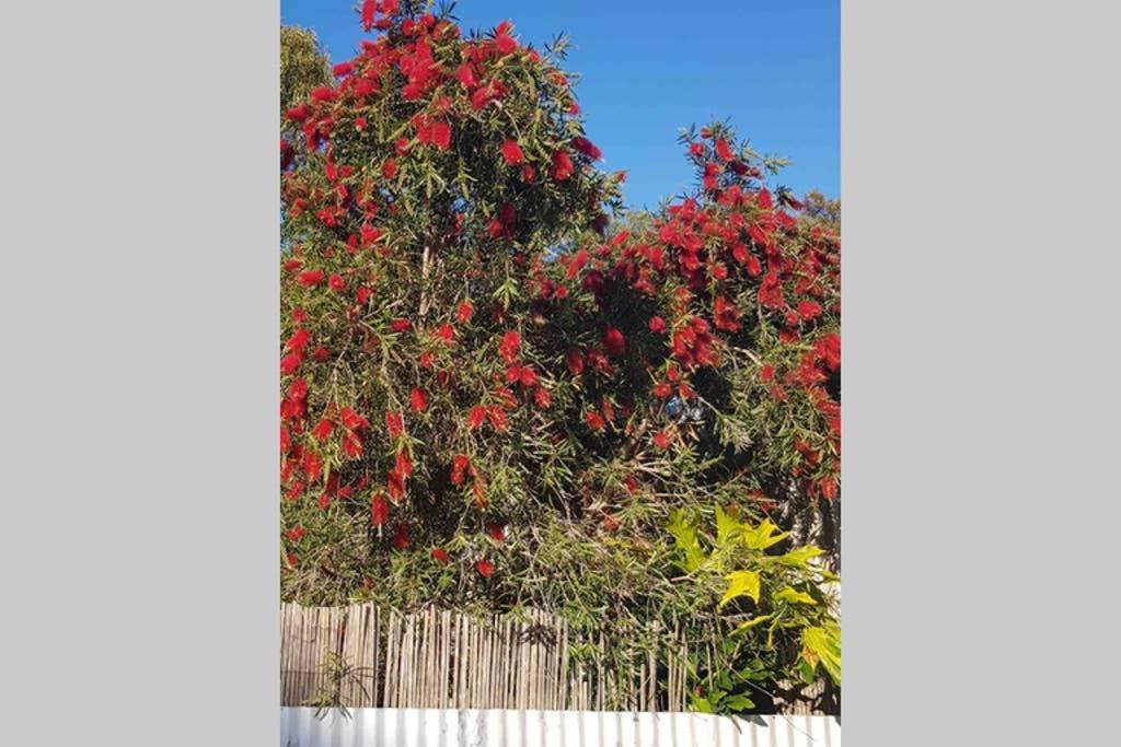 Leeward 'Tranquil Beachfront' Kingscote Esterno foto